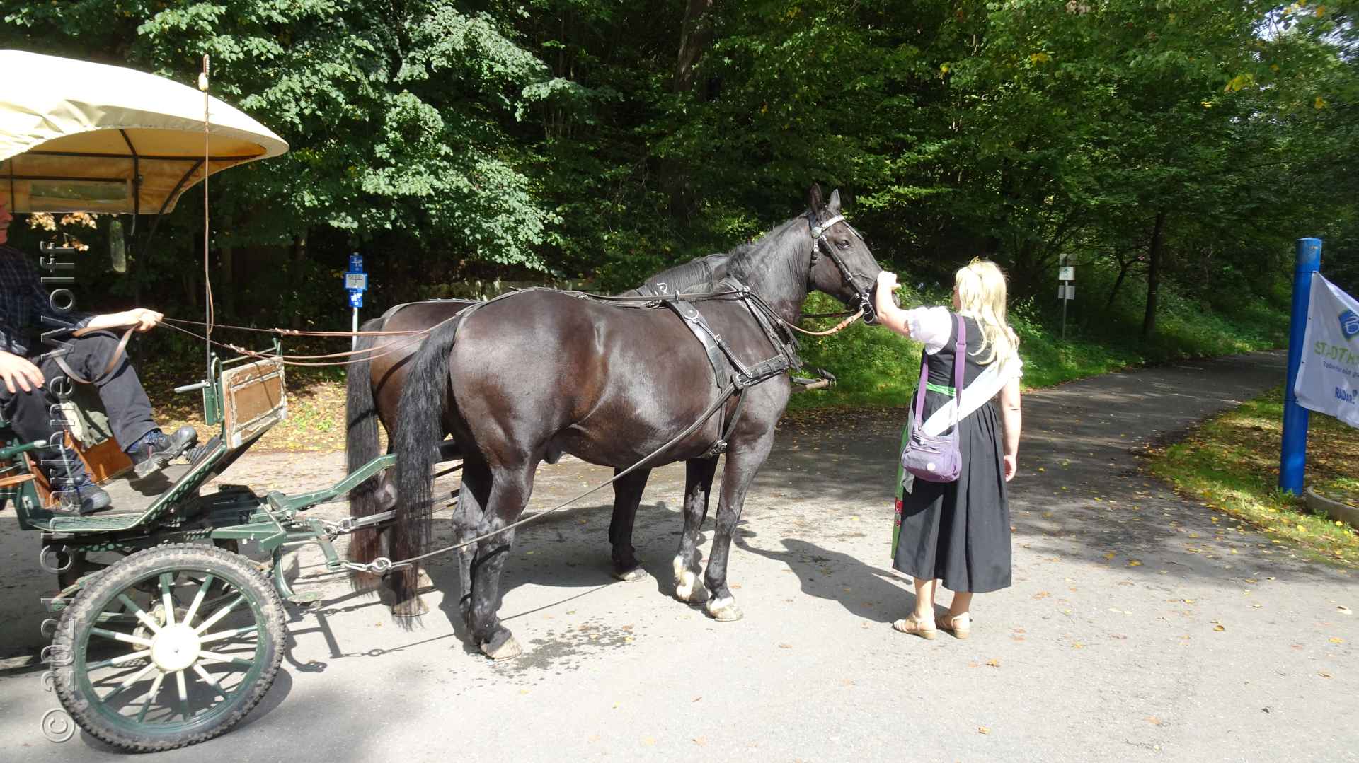 Charlene mit den Pferden